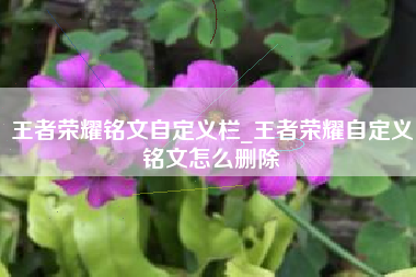 王者荣耀铭文自定义栏_王者荣耀自定义铭文怎么删除