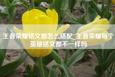 王者荣耀铭文都怎么搭配_王者荣耀每个英雄铭文都不一样吗