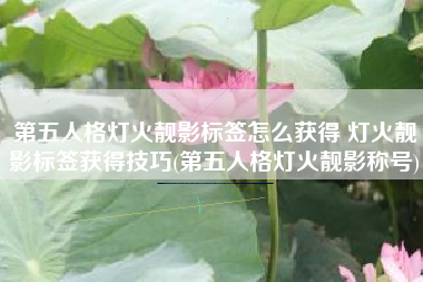 第五人格灯火靓影标签怎么获得 灯火靓影标签获得技巧(第五人格灯火靓影称号)