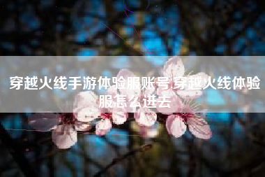 穿越火线手游体验服账号,穿越火线体验服怎么进去