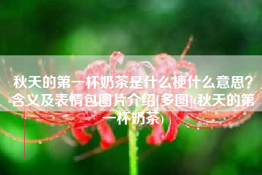 秋天的第一杯奶茶是什么梗什么意思？含义及表情包图片介绍[多图](秋天的第一杯奶茶)