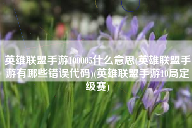 英雄联盟手游100005什么意思(英雄联盟手游有哪些错误代码)(英雄联盟手游10局定级赛)