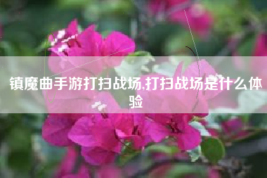 镇魔曲手游打扫战场,打扫战场是什么体验