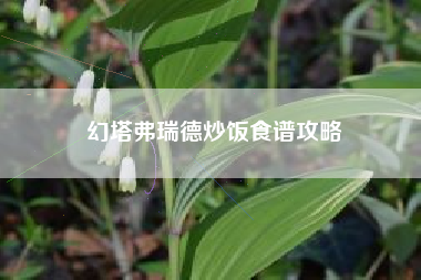幻塔弗瑞德炒饭食谱攻略