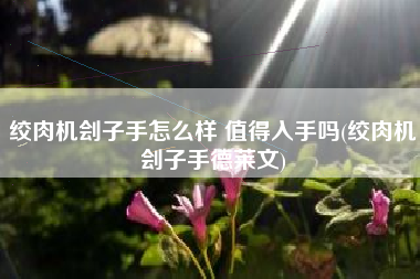 绞肉机刽子手怎么样 值得入手吗(绞肉机刽子手德莱文)