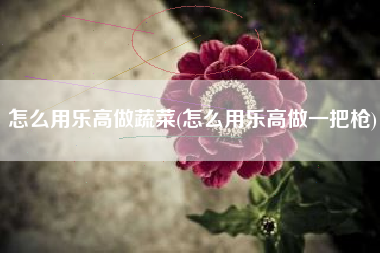 怎么用乐高做蔬菜(怎么用乐高做一把枪)