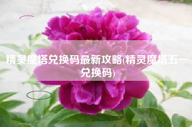 精灵魔塔兑换码最新攻略(精灵魔塔五一兑换码)