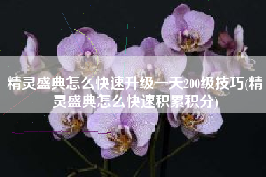 精灵盛典怎么快速升级一天200级技巧(精灵盛典怎么快速积累积分)