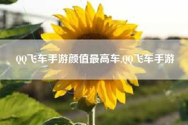 QQ飞车手游颜值最高车,QQ飞车手游