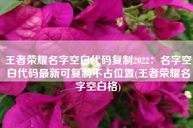 王者荣耀名字空白代码复制2022：名字空白代码最新可复制不占位置(王者荣耀名字空白格)