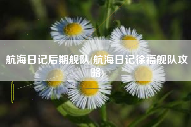 航海日记后期舰队(航海日记徐福舰队攻略)