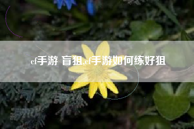 cf手游 盲狙,cf手游如何练好狙
