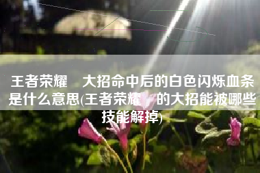 王者荣耀暃大招命中后的白色闪烁血条是什么意思(王者荣耀暃的大招能被哪些技能解掉)