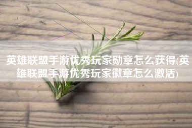 英雄联盟手游优秀玩家勋章怎么获得(英雄联盟手游优秀玩家徽章怎么激活)
