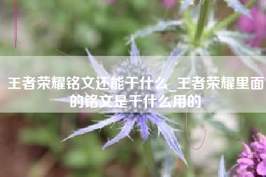 王者荣耀铭文还能干什么_王者荣耀里面的铭文是干什么用的