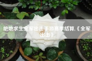 绝地求生全军出击手游赛季结算,《全军出击》