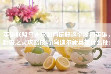 英雄联盟乌迪尔如何玩好这个冷门英雄，野兽之灵攻略技巧(乌迪尔新英雄什么梗)