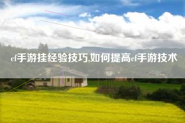 cf手游挂经验技巧,如何提高cf手游技术