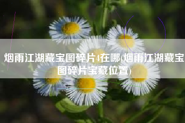 烟雨江湖藏宝图碎片4在哪(烟雨江湖藏宝图碎片宝藏位置)