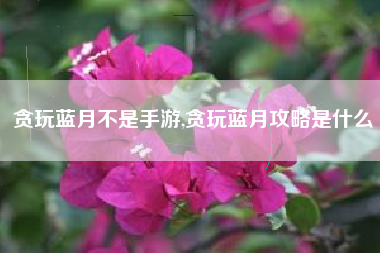 贪玩蓝月不是手游,贪玩蓝月攻略是什么