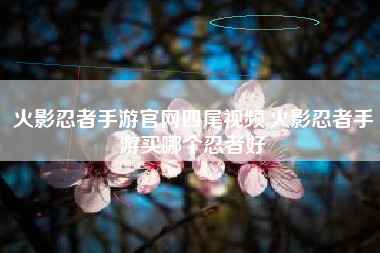 火影忍者手游官网四尾视频,火影忍者手游买哪个忍者好