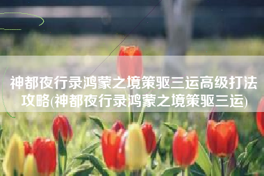 神都夜行录鸿蒙之境策驱三运高级打法攻略(神都夜行录鸿蒙之境策驱三运)