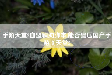手游天堂2血盟辅助脚本,能否碾压国产手游《天堂2