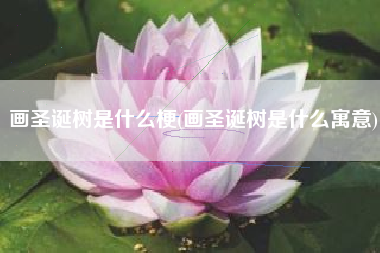 画圣诞树是什么梗(画圣诞树是什么寓意)