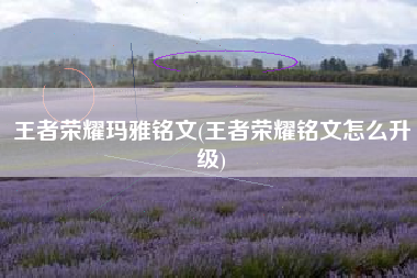 王者荣耀玛雅铭文(王者荣耀铭文怎么升级)