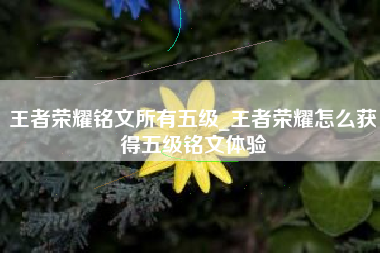 王者荣耀铭文所有五级_王者荣耀怎么获得五级铭文体验