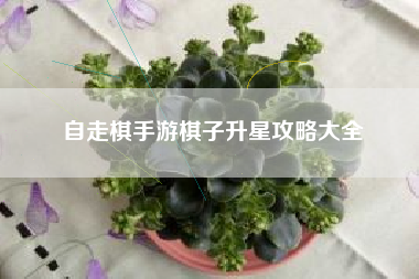 自走棋手游棋子升星攻略大全