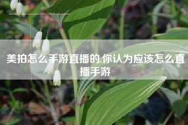 美拍怎么手游直播的,你认为应该怎么直播手游