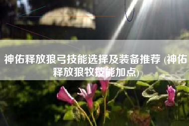 神佑释放狼弓技能选择及装备推荐 (神佑释放狼牧技能加点)