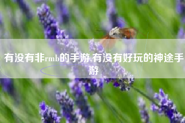 有没有非rmb的手游,有没有好玩的神途手游