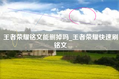 王者荣耀铭文能删掉吗_王者荣耀快速刷铭文