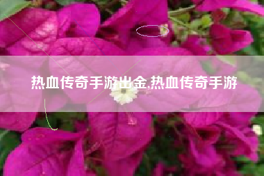 热血传奇手游出金,热血传奇手游