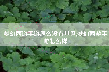 梦幻西游手游怎么没有八区,梦幻西游手游怎么样
