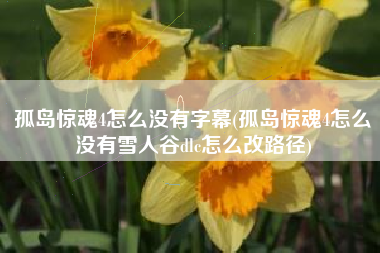 孤岛惊魂4怎么没有字幕(孤岛惊魂4怎么没有雪人谷dlc怎么改路径)