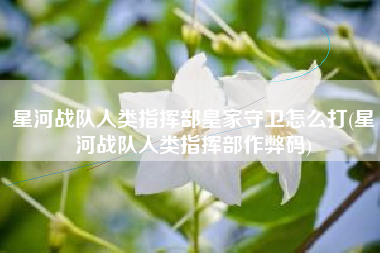 星河战队人类指挥部皇家守卫怎么打(星河战队人类指挥部作弊码)
