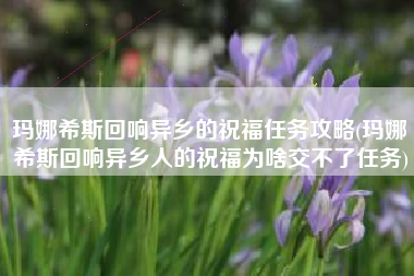 玛娜希斯回响异乡的祝福任务攻略(玛娜希斯回响异乡人的祝福为啥交不了任务)