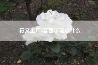 符文工厂5塞西尔喜欢什么