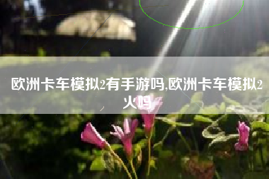 欧洲卡车模拟2有手游吗,欧洲卡车模拟2火吗