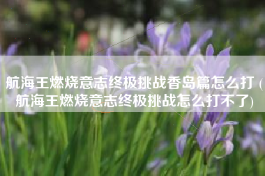 航海王燃烧意志终极挑战香岛篇怎么打 (航海王燃烧意志终极挑战怎么打不了)