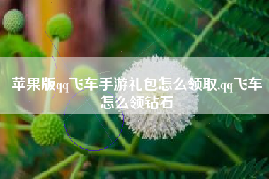 苹果版qq飞车手游礼包怎么领取,qq飞车怎么领钻石