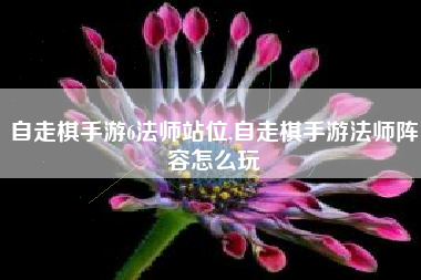 自走棋手游6法师站位,自走棋手游法师阵容怎么玩