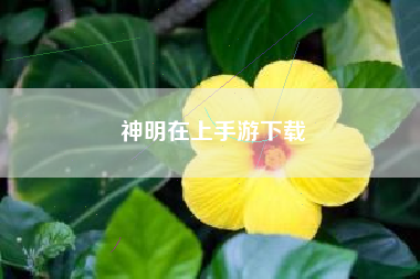 神明在上手游下载