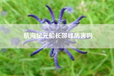 航海纪元船长邵峰厉害吗