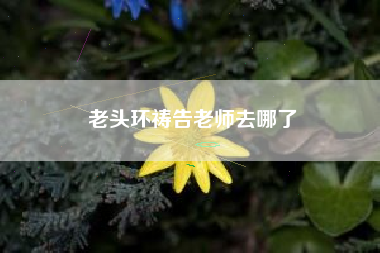 老头环祷告老师去哪了
