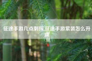 征途手游几点刺探,征途手游紫装怎么升级