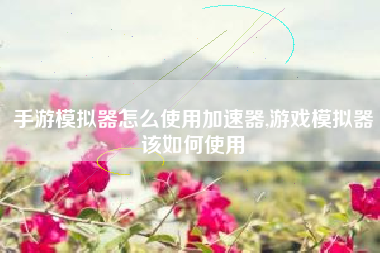 手游模拟器怎么使用加速器,游戏模拟器该如何使用